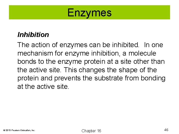 Enzymes Inhibition The action of enzymes can be inhibited. In one mechanism for enzyme