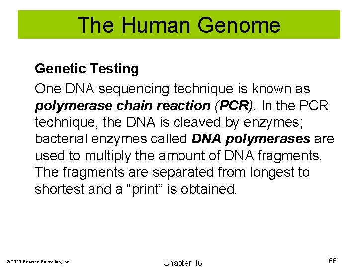 The Human Genome Genetic Testing One DNA sequencing technique is known as polymerase chain