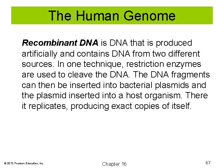 The Human Genome Recombinant DNA is DNA that is produced artificially and contains DNA