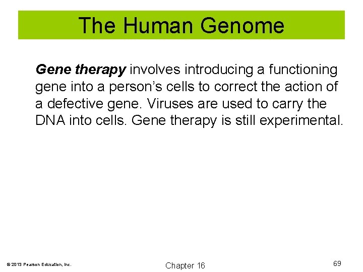 The Human Genome Gene therapy involves introducing a functioning gene into a person’s cells