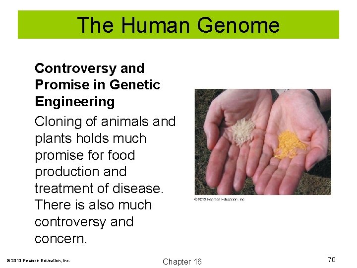 The Human Genome Controversy and Promise in Genetic Engineering Cloning of animals and plants