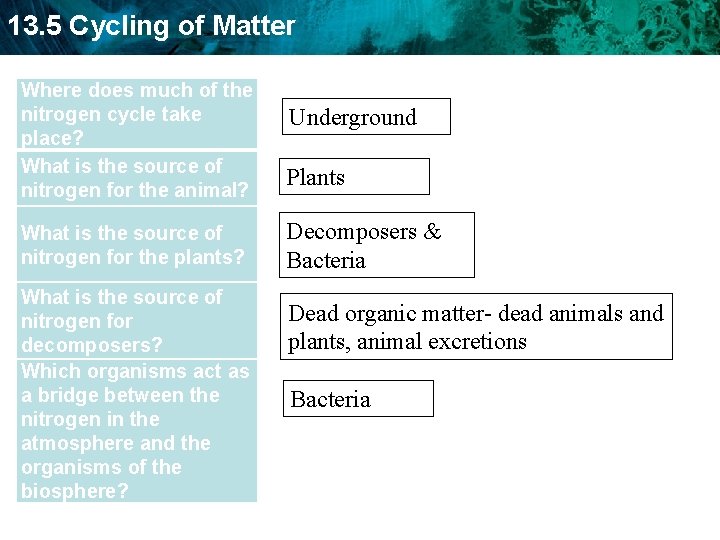 13. 5 Cycling of Matter Where does much of the nitrogen cycle take place?