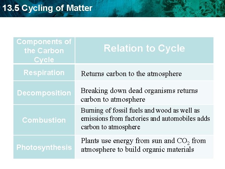 13. 5 Cycling of Matter Components of the Carbon Cycle Respiration Decomposition Relation to