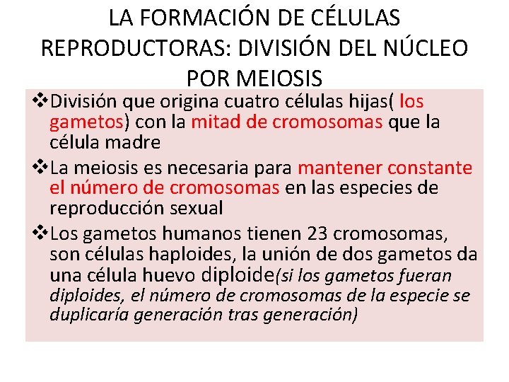 LA FORMACIÓN DE CÉLULAS REPRODUCTORAS: DIVISIÓN DEL NÚCLEO POR MEIOSIS v. División que origina