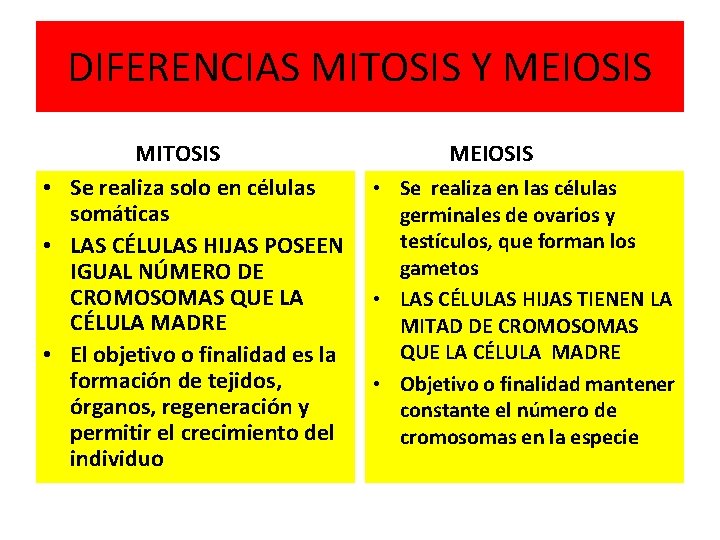 DIFERENCIAS MITOSIS Y MEIOSIS MITOSIS • Se realiza solo en células somáticas • LAS