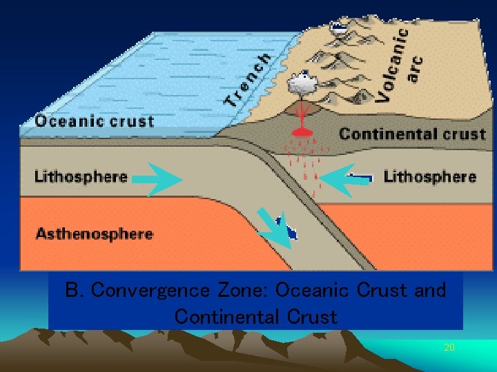 B. Convergence Zone: Oceanic Crust and Continental Crust 20 