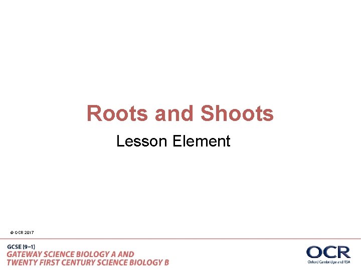 Roots and Shoots Lesson Element © OCR 2017 