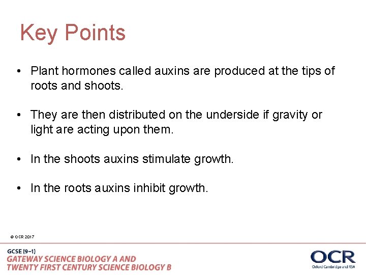 Key Points • Plant hormones called auxins are produced at the tips of roots