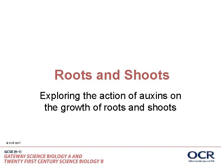 Roots and Shoots Exploring the action of auxins on the growth of roots and