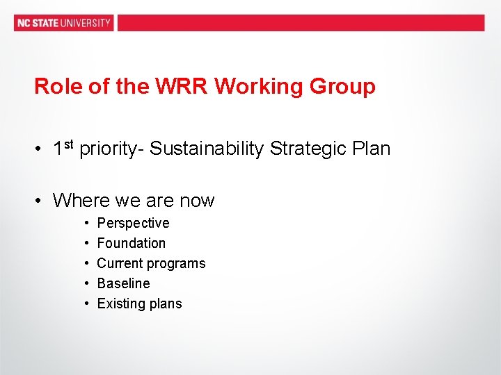 Role of the WRR Working Group • 1 st priority- Sustainability Strategic Plan •