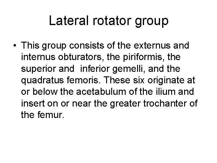 Lateral rotator group • This group consists of the externus and internus obturators, the