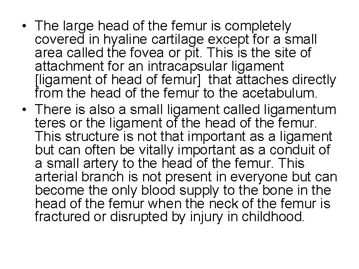  • The large head of the femur is completely covered in hyaline cartilage