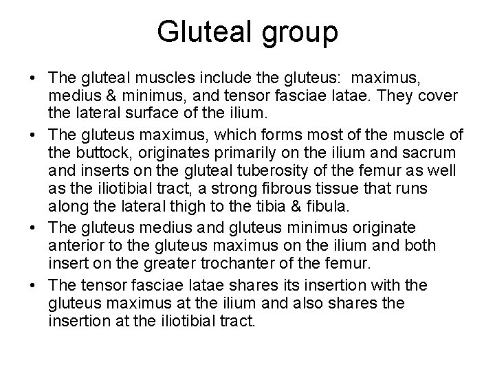 Gluteal group • The gluteal muscles include the gluteus: maximus, medius & minimus, and