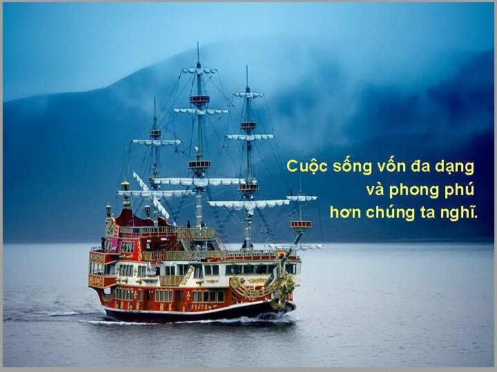 Cuộc sống vốn đa dạng và phong phú hơn chúng ta nghĩ. 