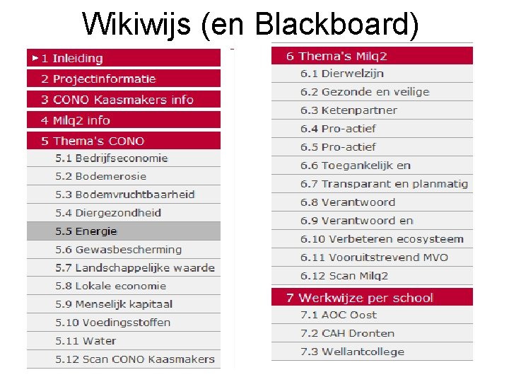 Wikiwijs (en Blackboard) 