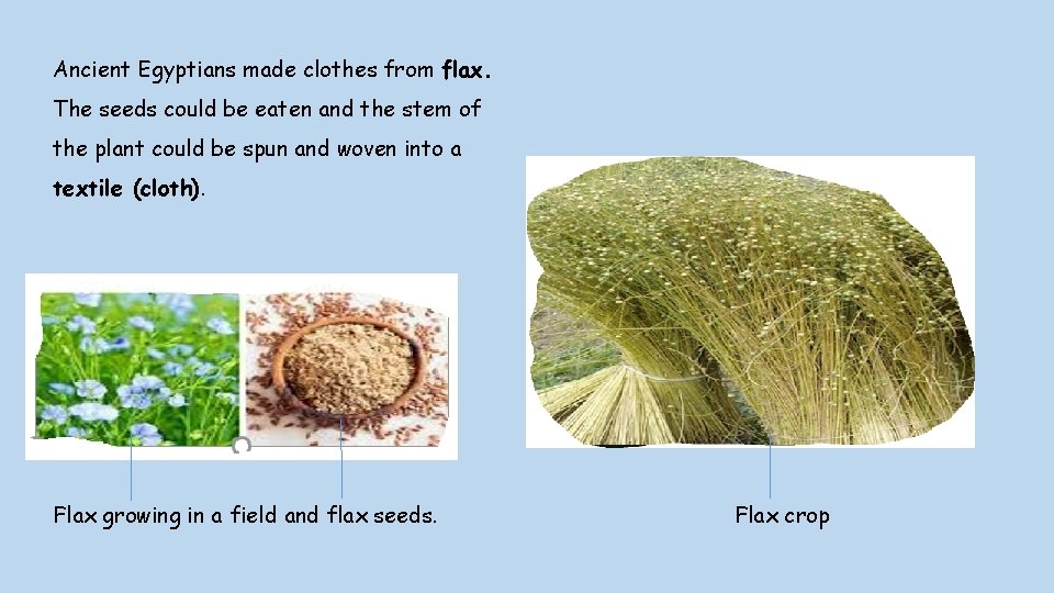 Ancient Egyptians made clothes from flax. The seeds could be eaten and the stem