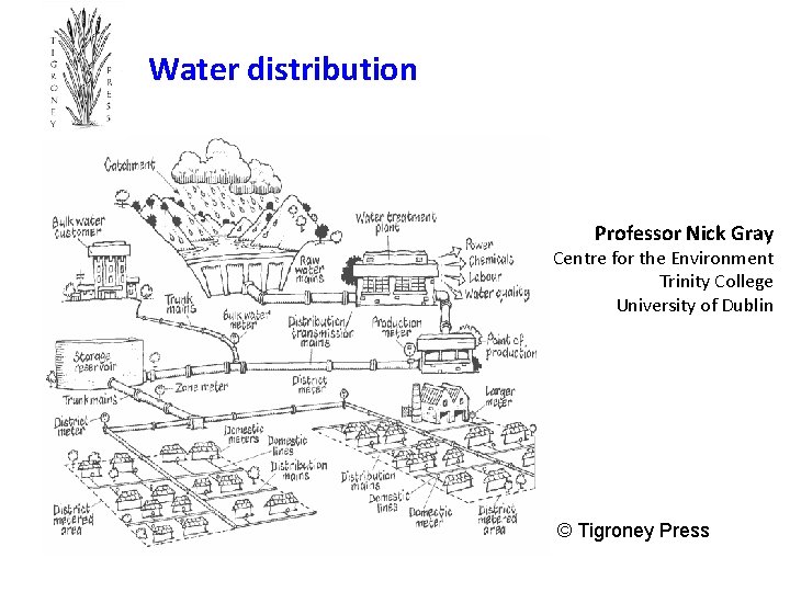 Water distribution Professor Nick Gray Centre for the Environment Trinity College University of Dublin