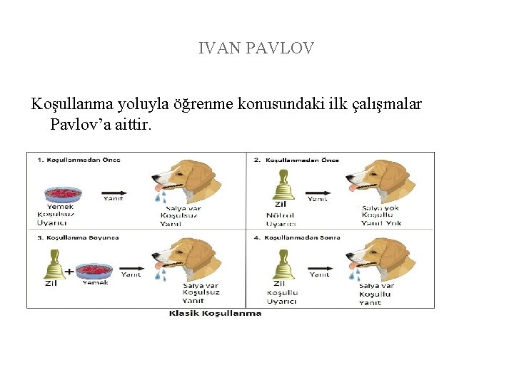 IVAN PAVLOV Koşullanma yoluyla öğrenme konusundaki ilk çalışmalar Pavlov’a aittir. 