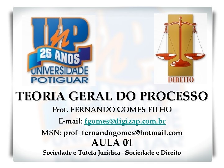 TEORIA GERAL DO PROCESSO Prof. FERNANDO GOMES FILHO E-mail: fgomes@digizap. com. br MSN: prof_fernandogomes@hotmail.