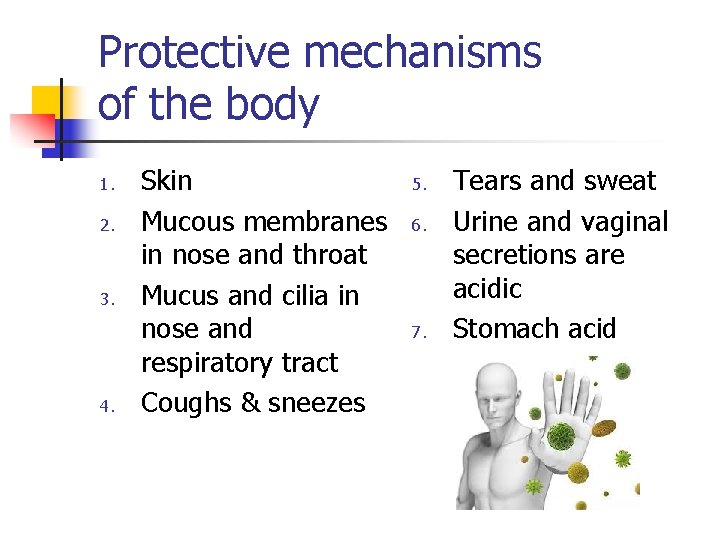 Protective mechanisms of the body 1. 2. 3. 4. Skin Mucous membranes in nose