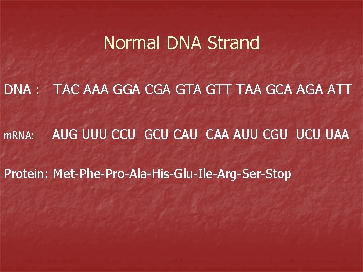 Normal DNA Strand DNA : TAC AAA GGA CGA GTT TAA GCA AGA ATT