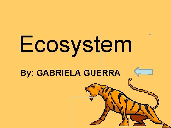 Ecosystem By: GABRIELA GUERRA 