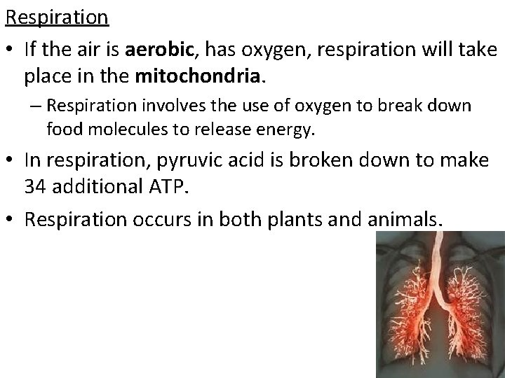 Respiration • If the air is aerobic, has oxygen, respiration will take place in