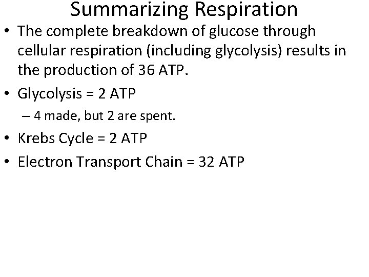 Summarizing Respiration • The complete breakdown of glucose through cellular respiration (including glycolysis) results