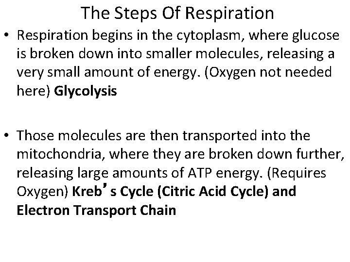 The Steps Of Respiration • Respiration begins in the cytoplasm, where glucose is broken