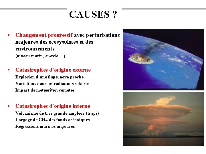 CAUSES ? • Changement progressif avec perturbations majeures des écosystèmes et des environnements (niveau