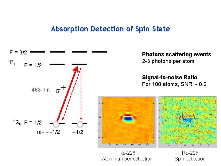 Absorption Detection of Spin State F = 3/2 1 P 1 Photons scattering events