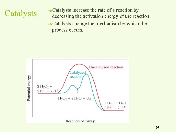 Catalysts increase the rate of a reaction by decreasing the activation energy of the