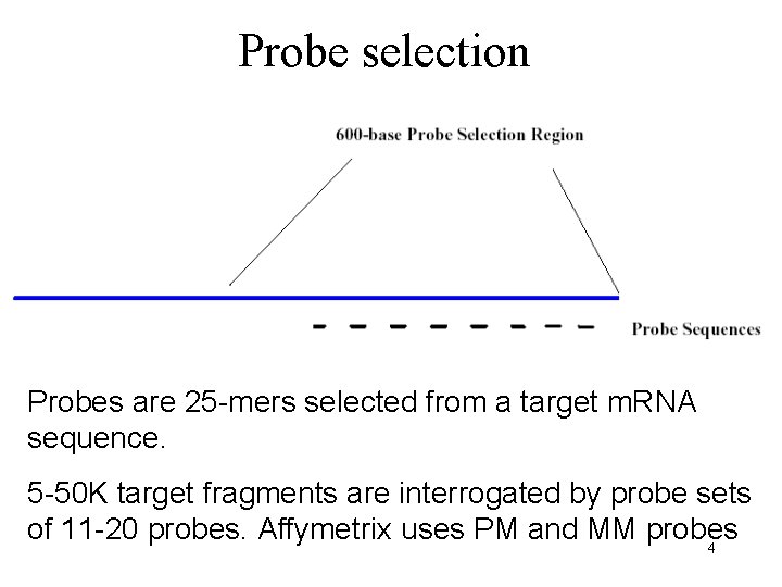 Probe selection Probes are 25 -mers selected from a target m. RNA sequence. 5