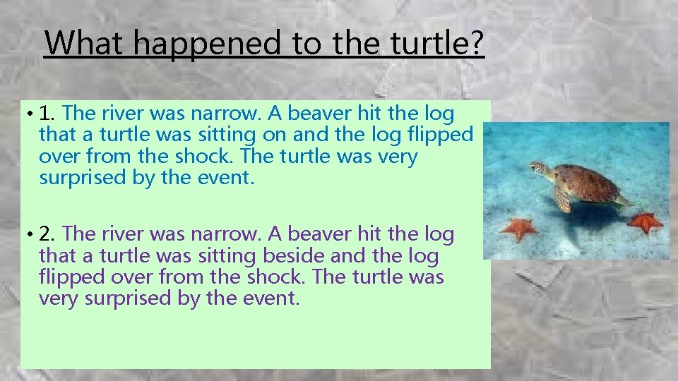 What happened to the turtle? • 1. The river was narrow. A beaver hit What happened to the turtle? • 1. The river was narrow. A beaver hit