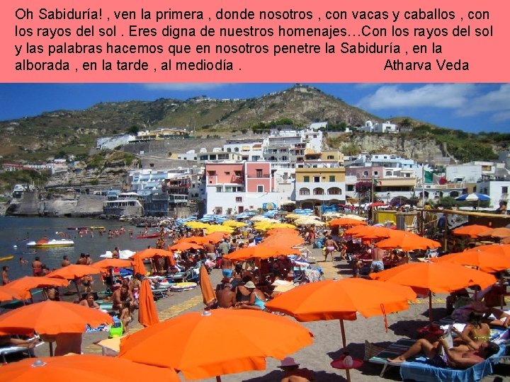 Oh Sabiduría! , ven la primera , donde nosotros , con vacas y caballos