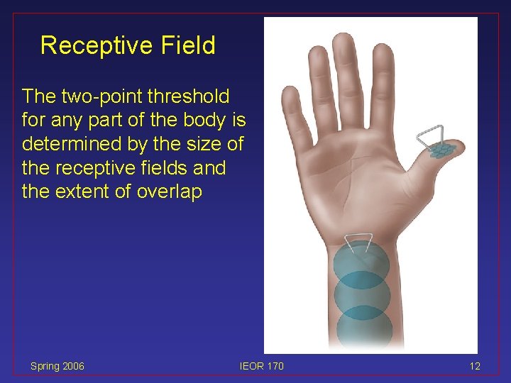 Receptive Field The two-point threshold for any part of the body is determined by