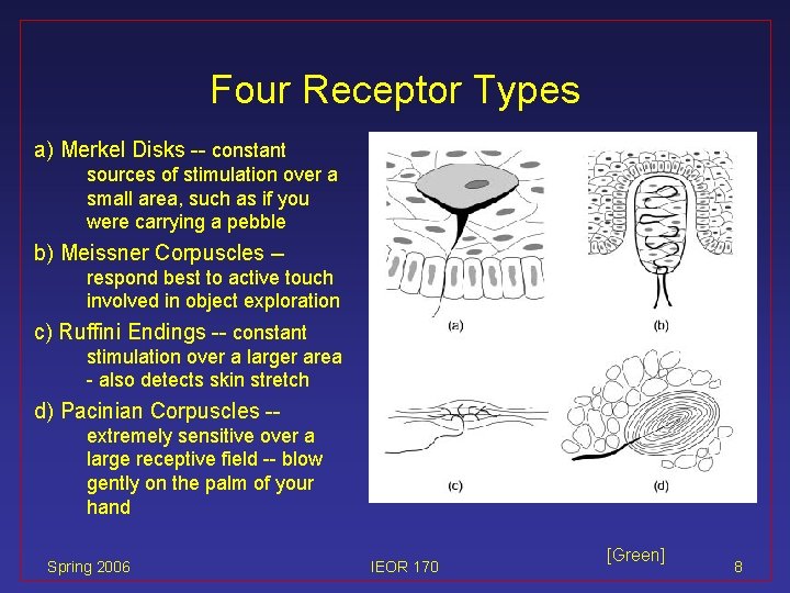 Four Receptor Types a) Merkel Disks -- constant sources of stimulation over a small