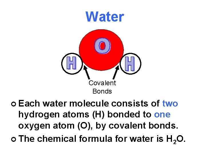 Water Covalent Bonds ¢ Each water molecule consists of two hydrogen atoms (H) bonded