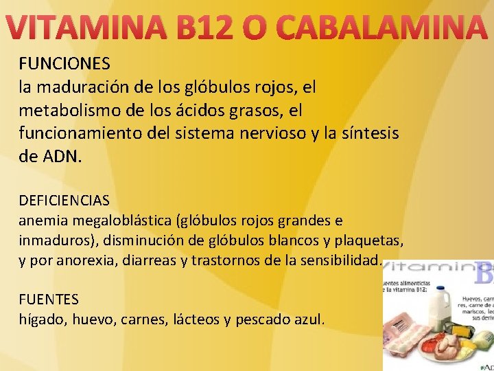 VITAMINA B 12 O CABALAMINA FUNCIONES la maduración de los glóbulos rojos, el metabolismo