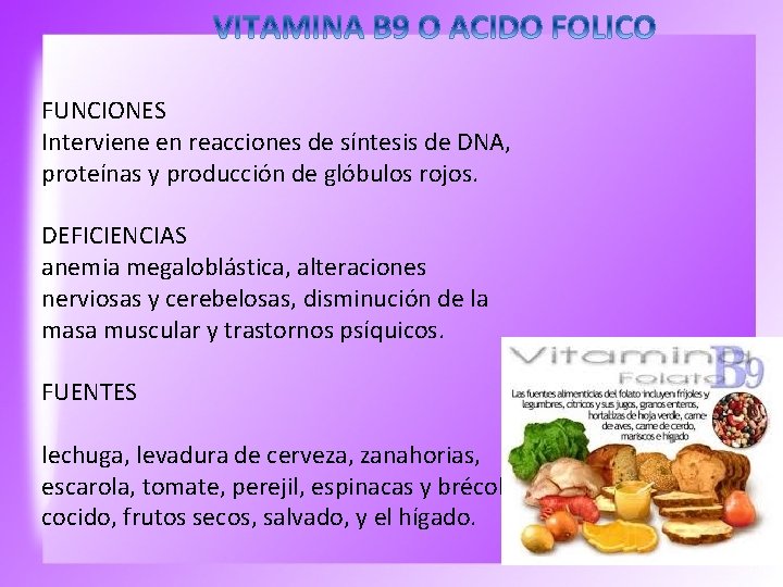 FUNCIONES Interviene en reacciones de síntesis de DNA, proteínas y producción de glóbulos rojos.