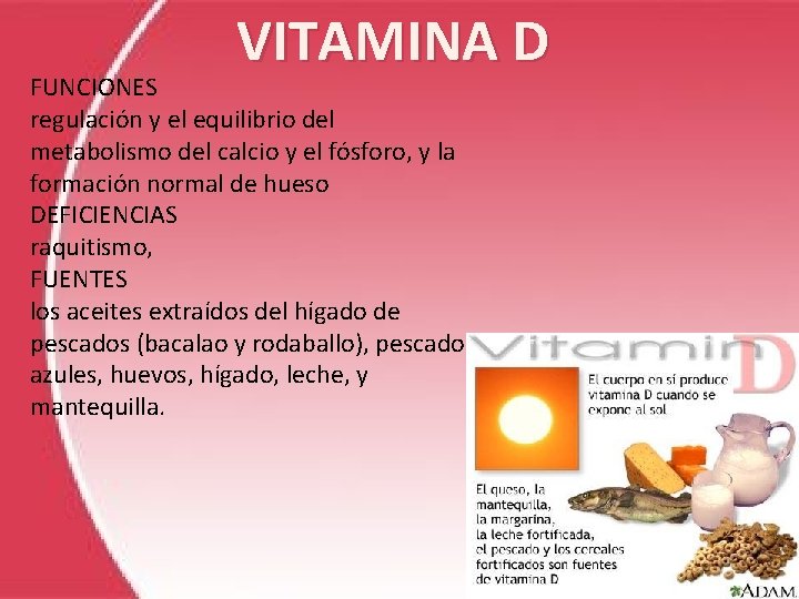 VITAMINA D FUNCIONES regulación y el equilibrio del metabolismo del calcio y el fósforo,