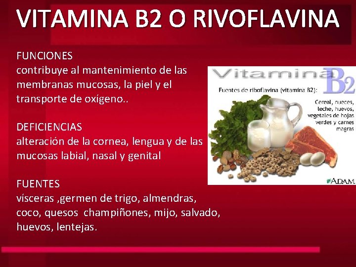 VITAMINA B 2 O RIVOFLAVINA FUNCIONES contribuye al mantenimiento de las membranas mucosas, la