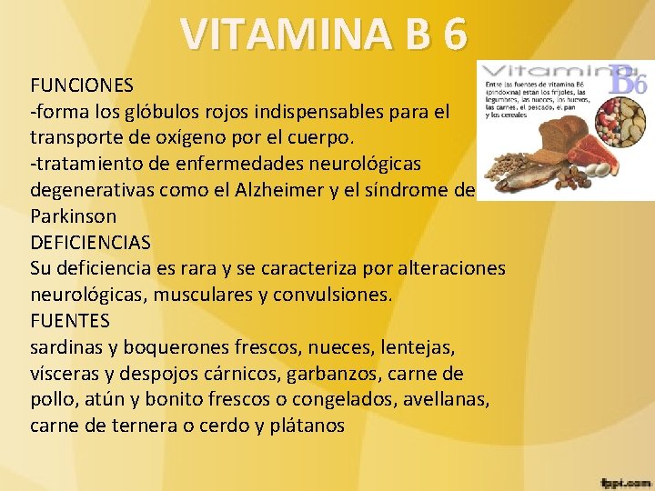 VITAMINA B 6 FUNCIONES -forma los glóbulos rojos indispensables para el transporte de oxígeno