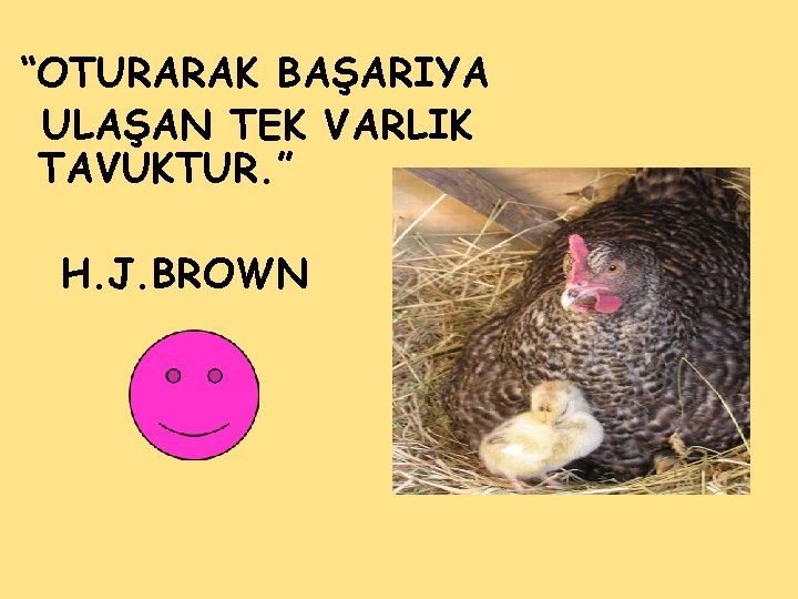 “OTURARAK BAŞARIYA ULAŞAN TEK VARLIK TAVUKTUR. ” H. J. BROWN 