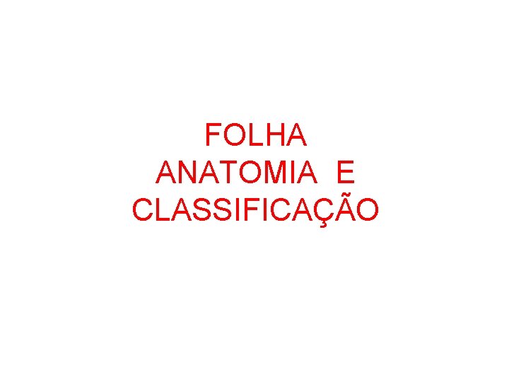 FOLHA ANATOMIA E CLASSIFICAÇÃO 