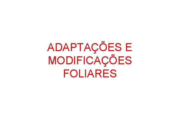 ADAPTAÇÕES E MODIFICAÇÕES FOLIARES 