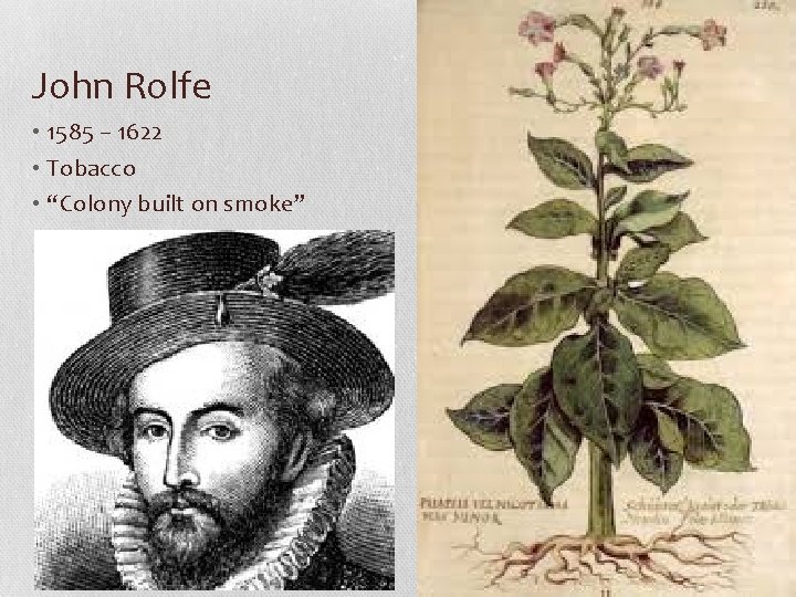 John Rolfe • 1585 – 1622 • Tobacco • “Colony built on smoke” 