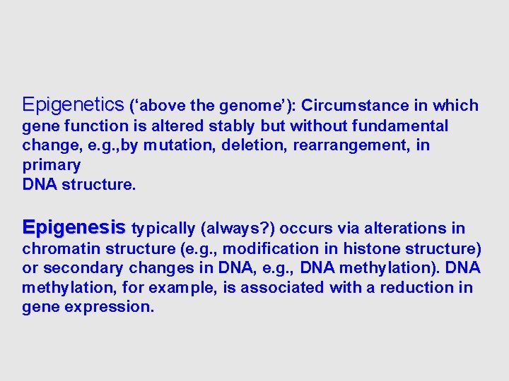 Epigenetics (‘above the genome’): Circumstance in which gene function is altered stably but without