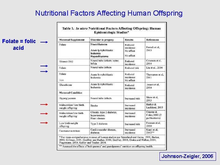 Nutritional Factors Affecting Human Offspring Folate = folic acid Johnson-Zeigler, 2006 