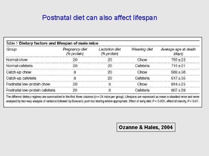 Postnatal diet can also affect lifespan Ozanne & Hales, 2004 